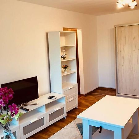 Joy City Stay Iasi 15 Timişoara Buitenkant foto